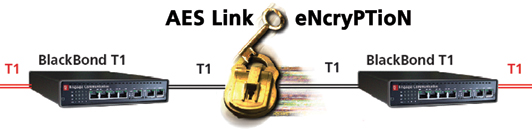 AES encryptedT1diagram web
