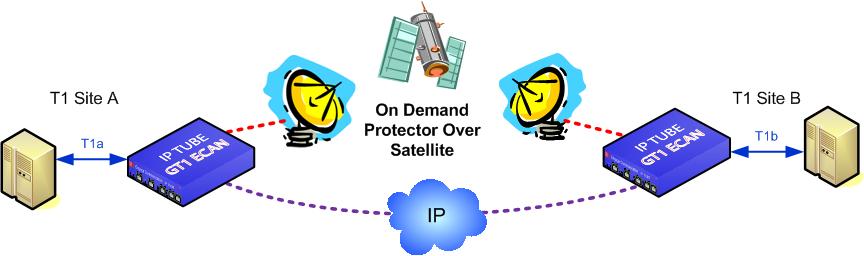 T1 Protection Switch